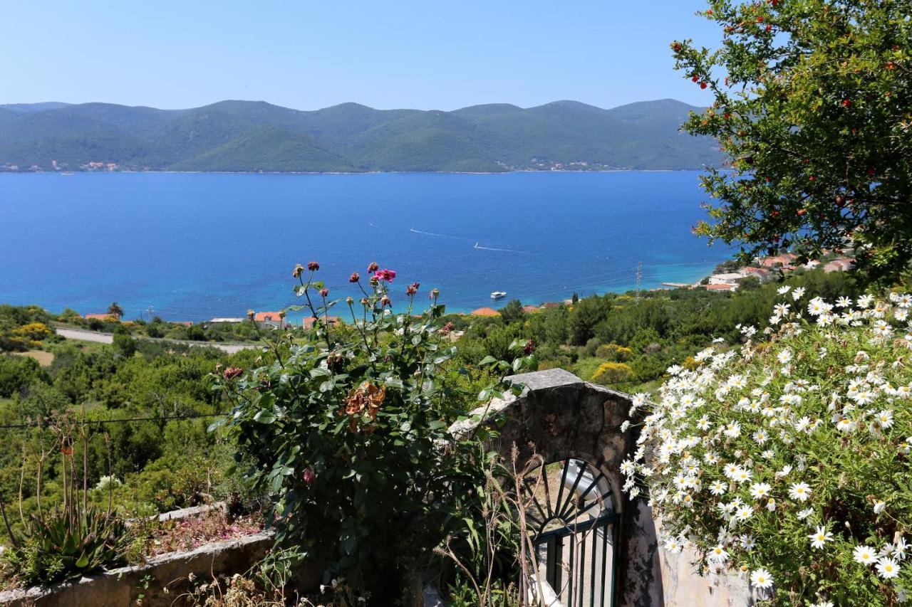 Holiday House With A Parking Space Viganj - Podac, Peljesac - 10141 Exteriér fotografie